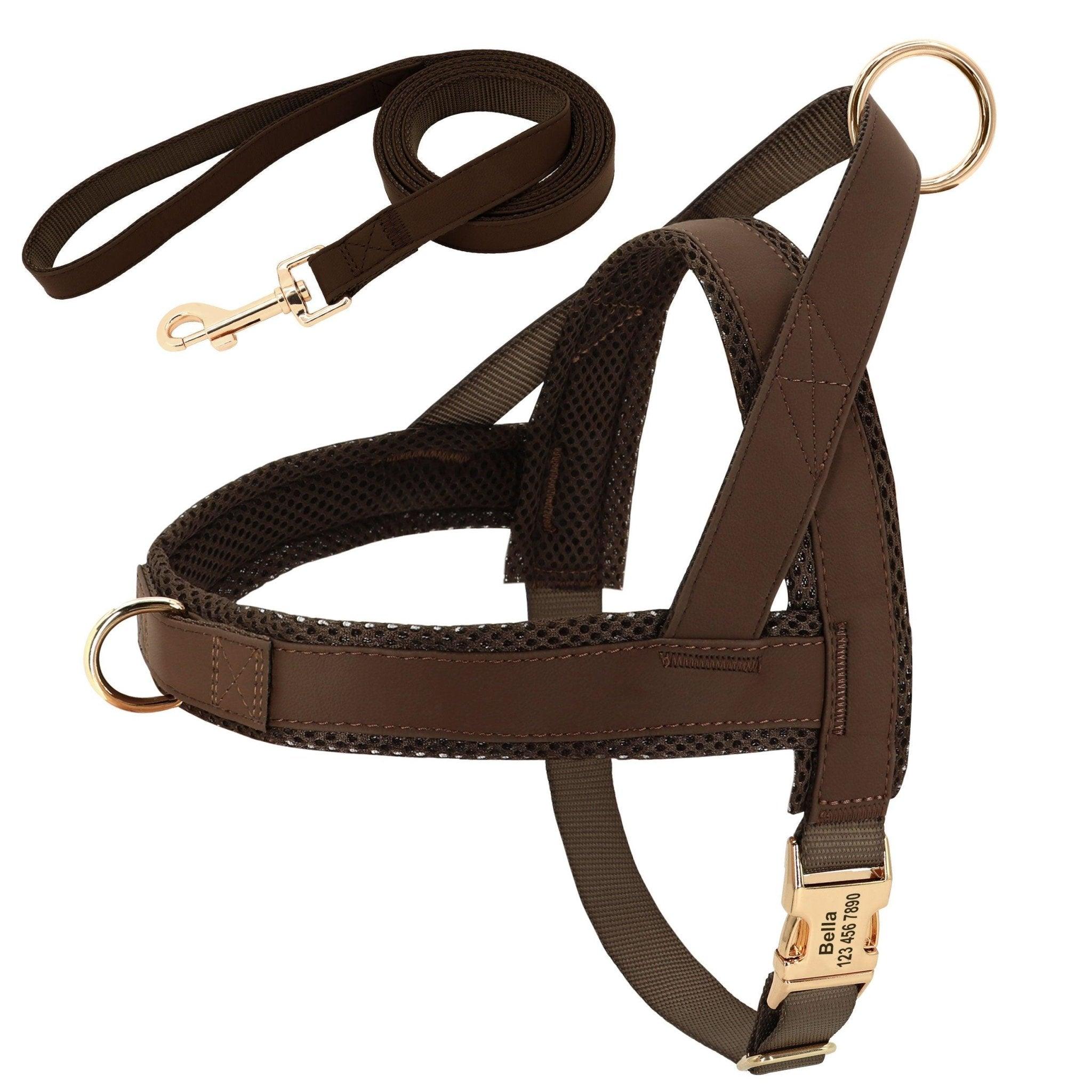 Happy dog wearing Customizable Stylish Pet Harness & Leash Set outdoors by Dog Hugs Cat