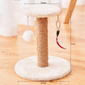 Durable Vertical Cat Scratcher by Dog Hugs Cat with various playful cats
