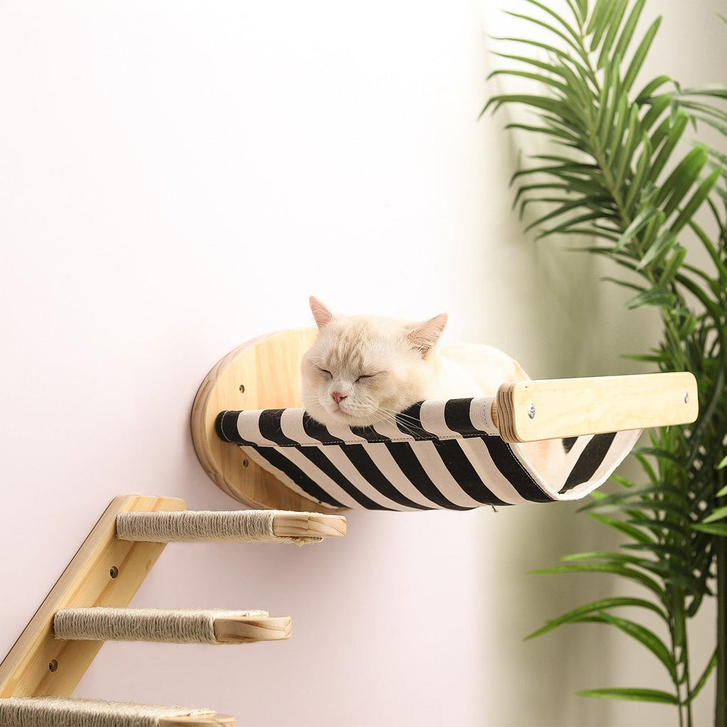 Cat climbing stairs on Premium Pine Wood Cat Adventure Playground