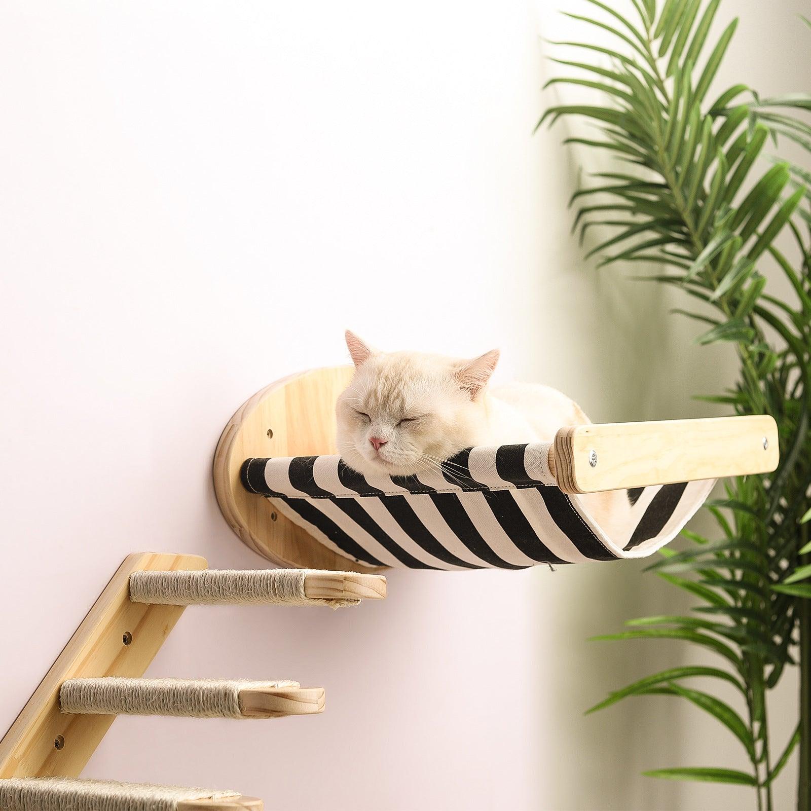 Cat climbing stairs on Premium Pine Wood Cat Adventure Playground