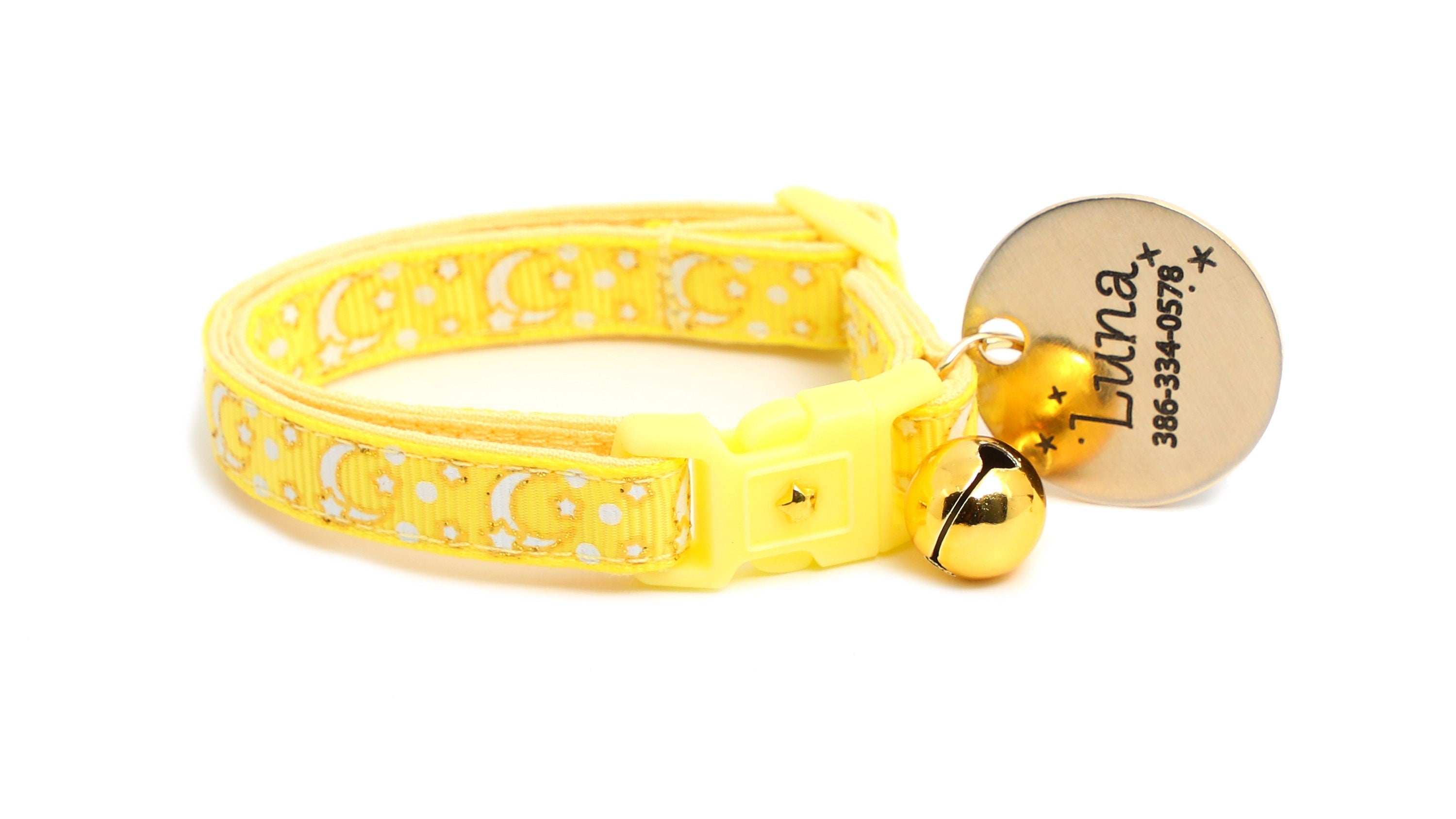 Happy cat showing off the celestial yellow collar at night