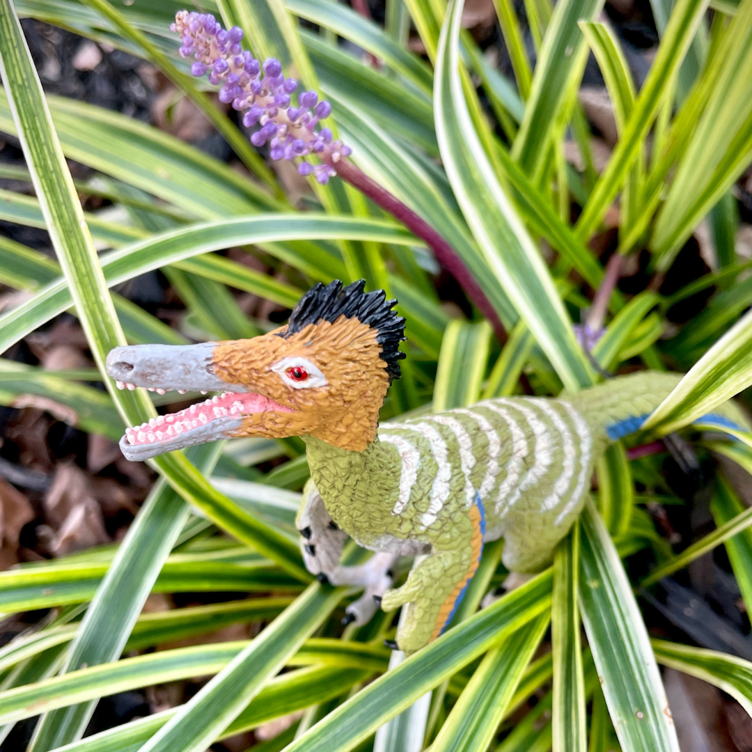Front view of Authentic Austroraptor Dinosaur Figurine by Safari Ltd