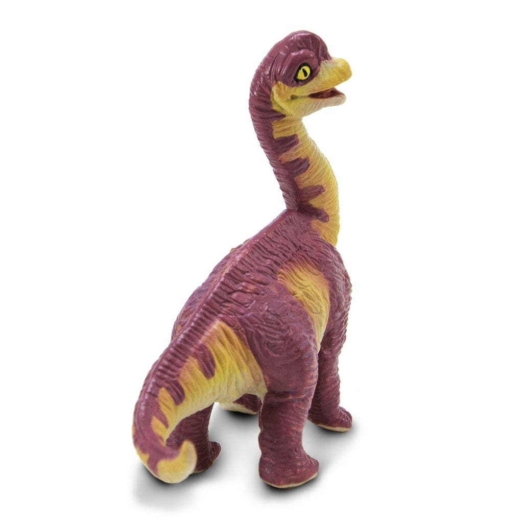 Top view showcasing Brachiosaurus Baby Dinosaur Figure by Safari Ltd