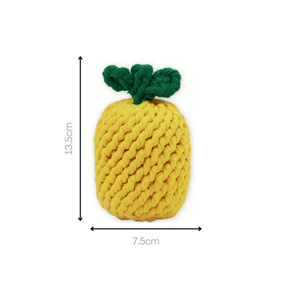 Knotty Pawz Tropical Pineapple Rope Toy displayed on a wooden surface