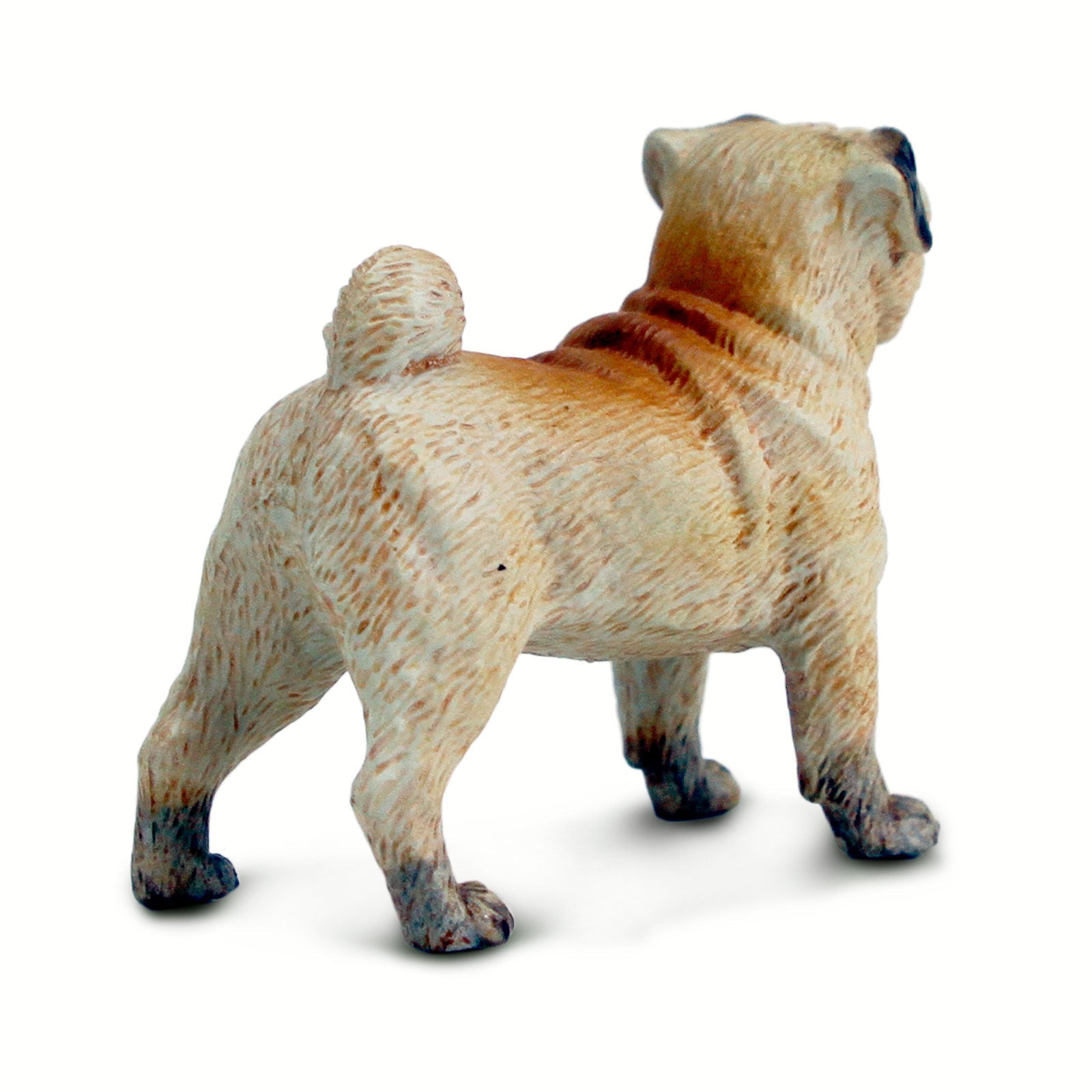 Close-up of the wrinkled face of the Pug Toy Figurine by Safari Ltd