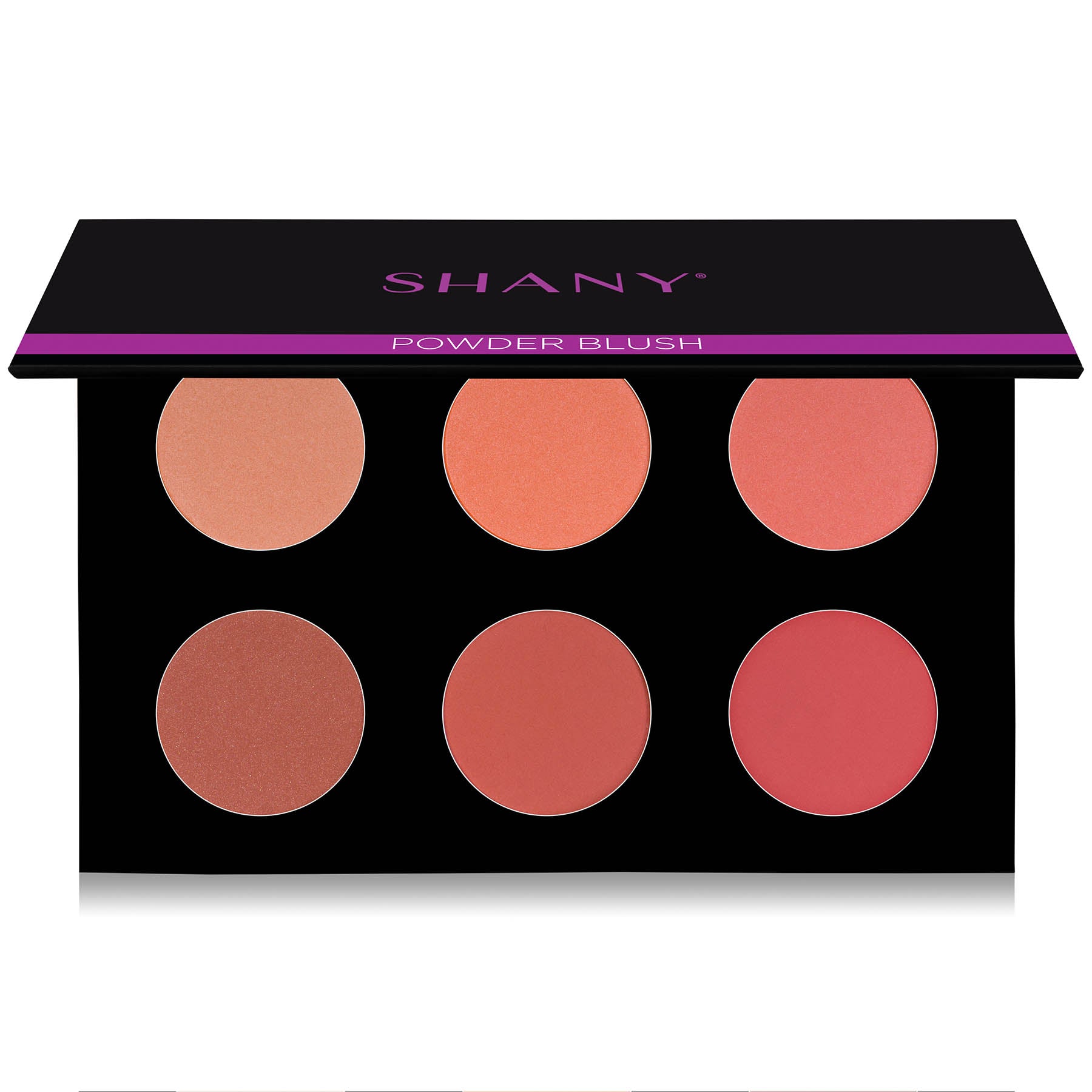 SHANY Mini Masterpiece Makeup Set arranged with brushes and accessories