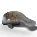 Front view of EUGY Manatee 3D Puzzle showcasing intricate design