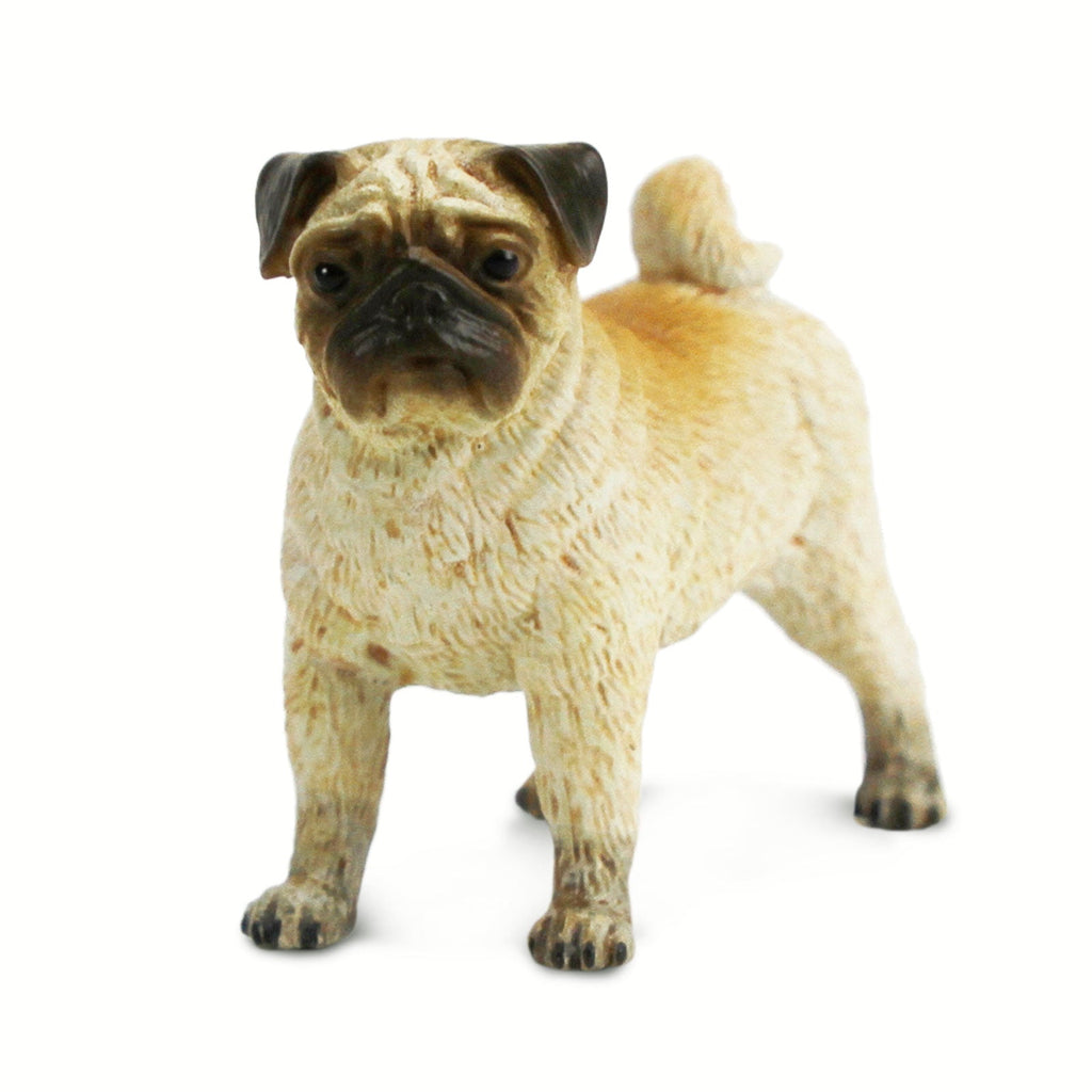 Charming Pug Toy Figurine by Safari Ltd showcasing its cute features
