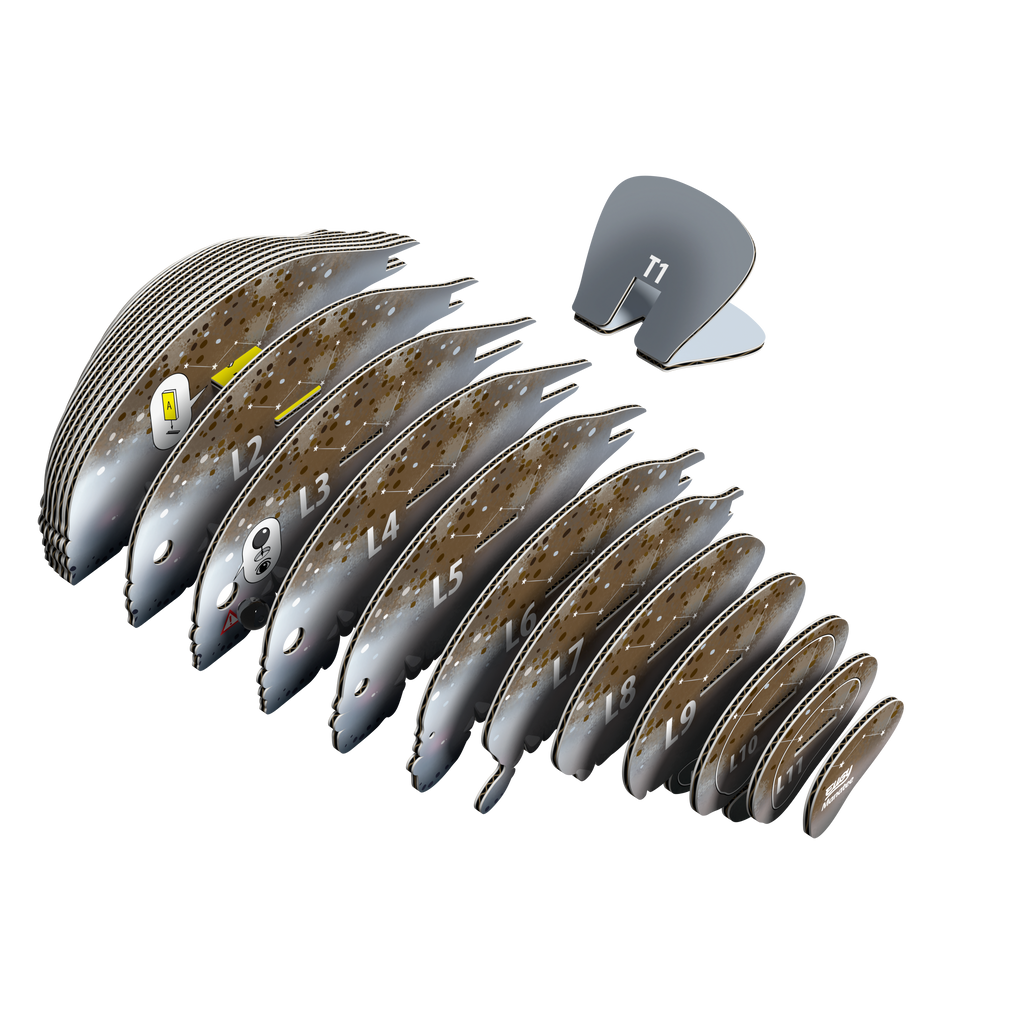 Completed EUGY Manatee 3D Puzzle displayed on a wooden table