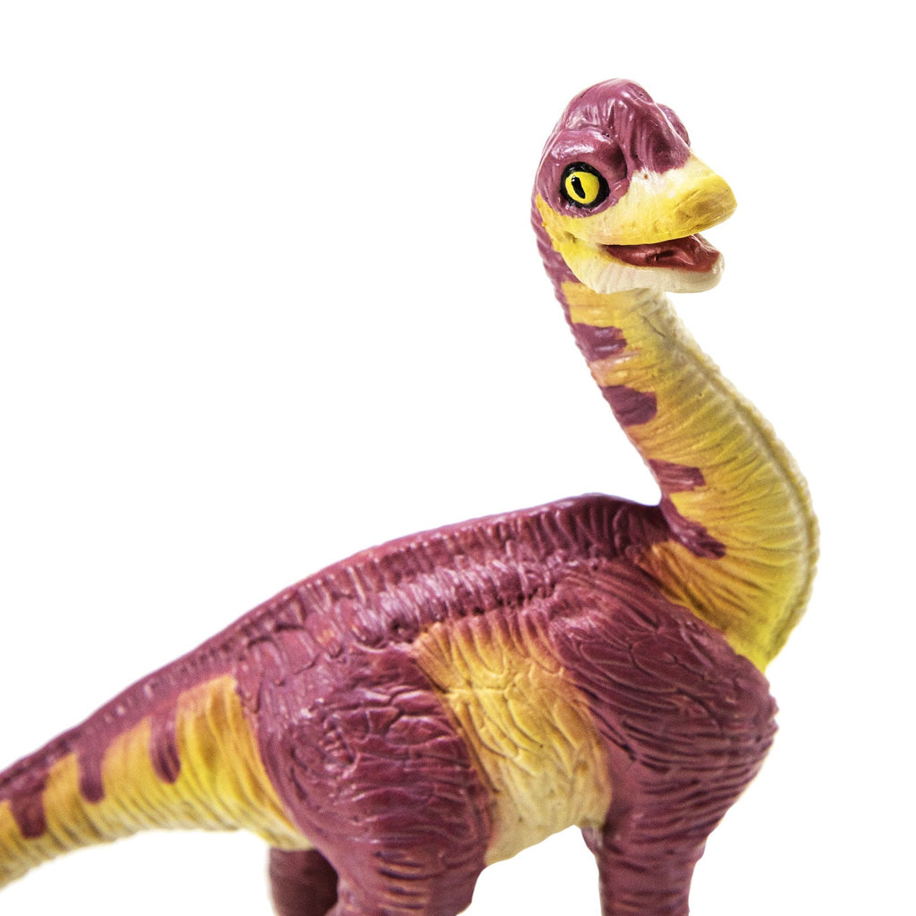 Brachiosaurus Baby Dinosaur Figure by Safari Ltd on a display shelf