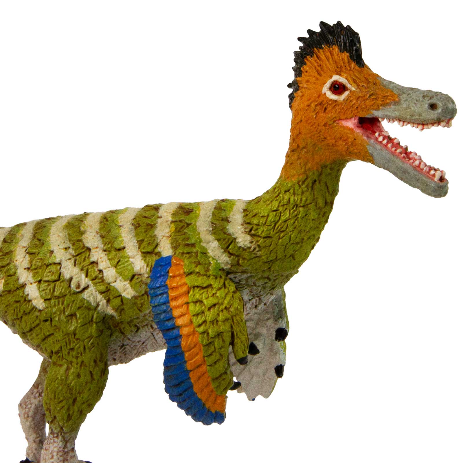 Close-up of the detailed features of the Austroraptor Dinosaur Figurine