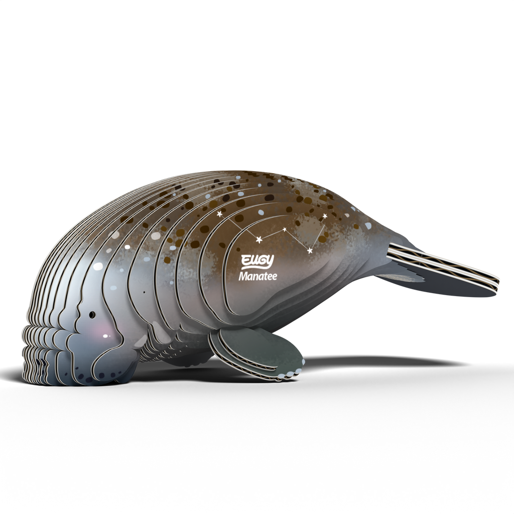 Side view of EUGY Manatee 3D Puzzle highlighting eco-friendly materials